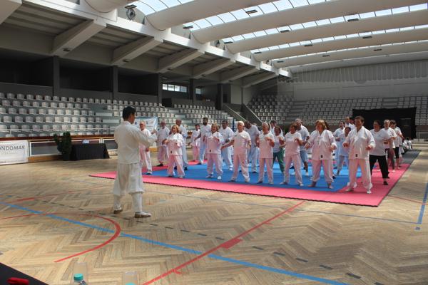 II Campeonato Europeu de Taekkyeon — Portugal 2025