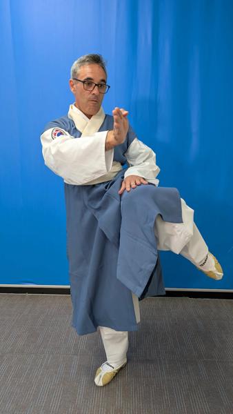 Taekkyeon — Dojang José Vasconcelos